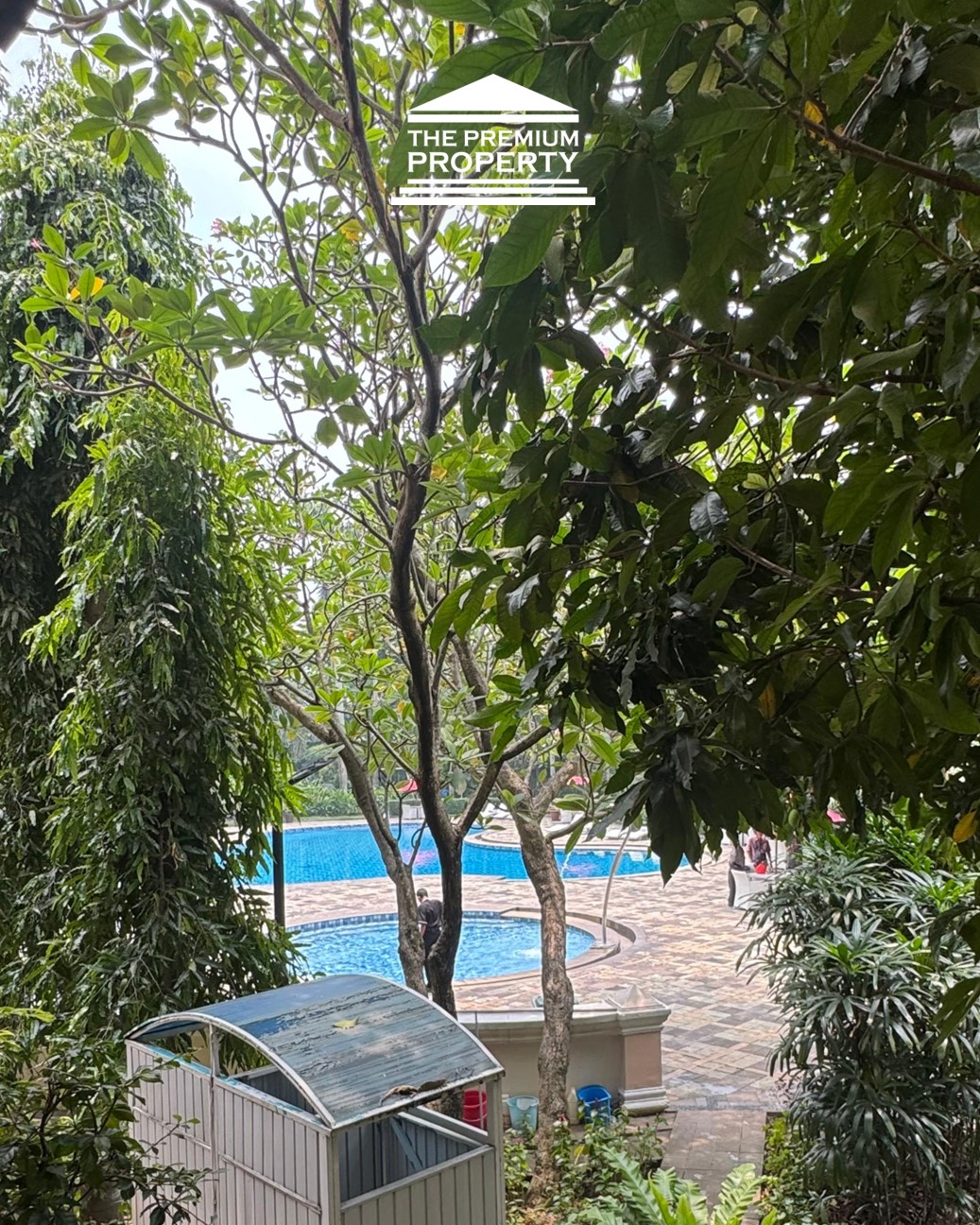 Apartemen Disewa Golf Hill Terrace Tower B, 3 KT, Furnished, View Pool