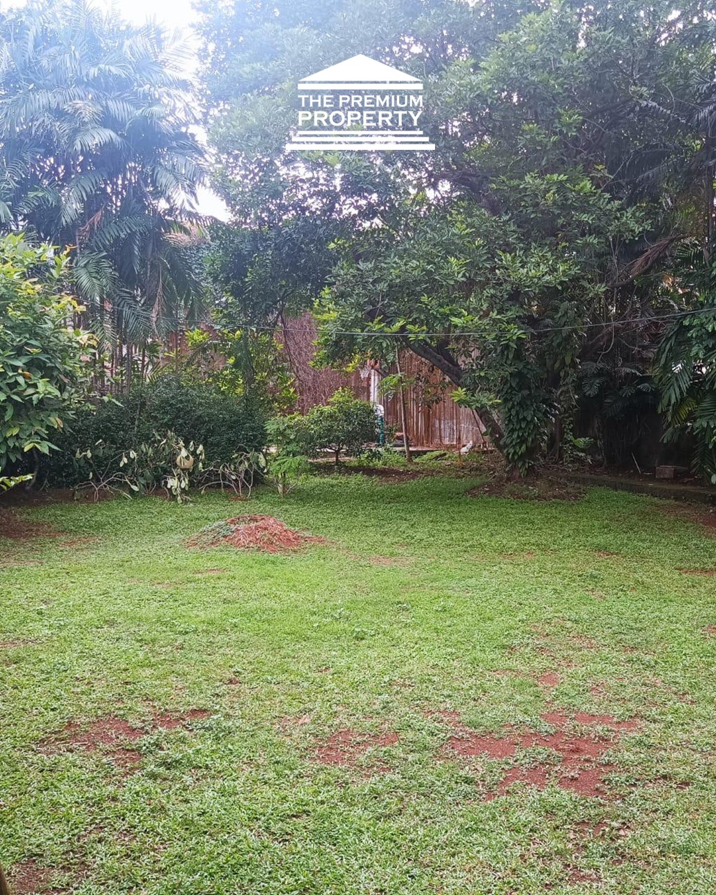 Rumah Dijual di Pejaten, Halaman Luas, ada Kolam Renang, Asri, Parkir Banyak