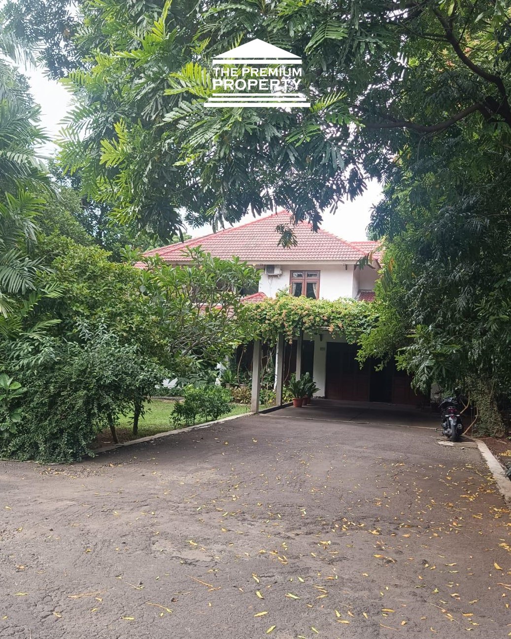 Rumah Dijual di Pejaten, Halaman Luas, ada Kolam Renang, Asri, Parkir Banyak