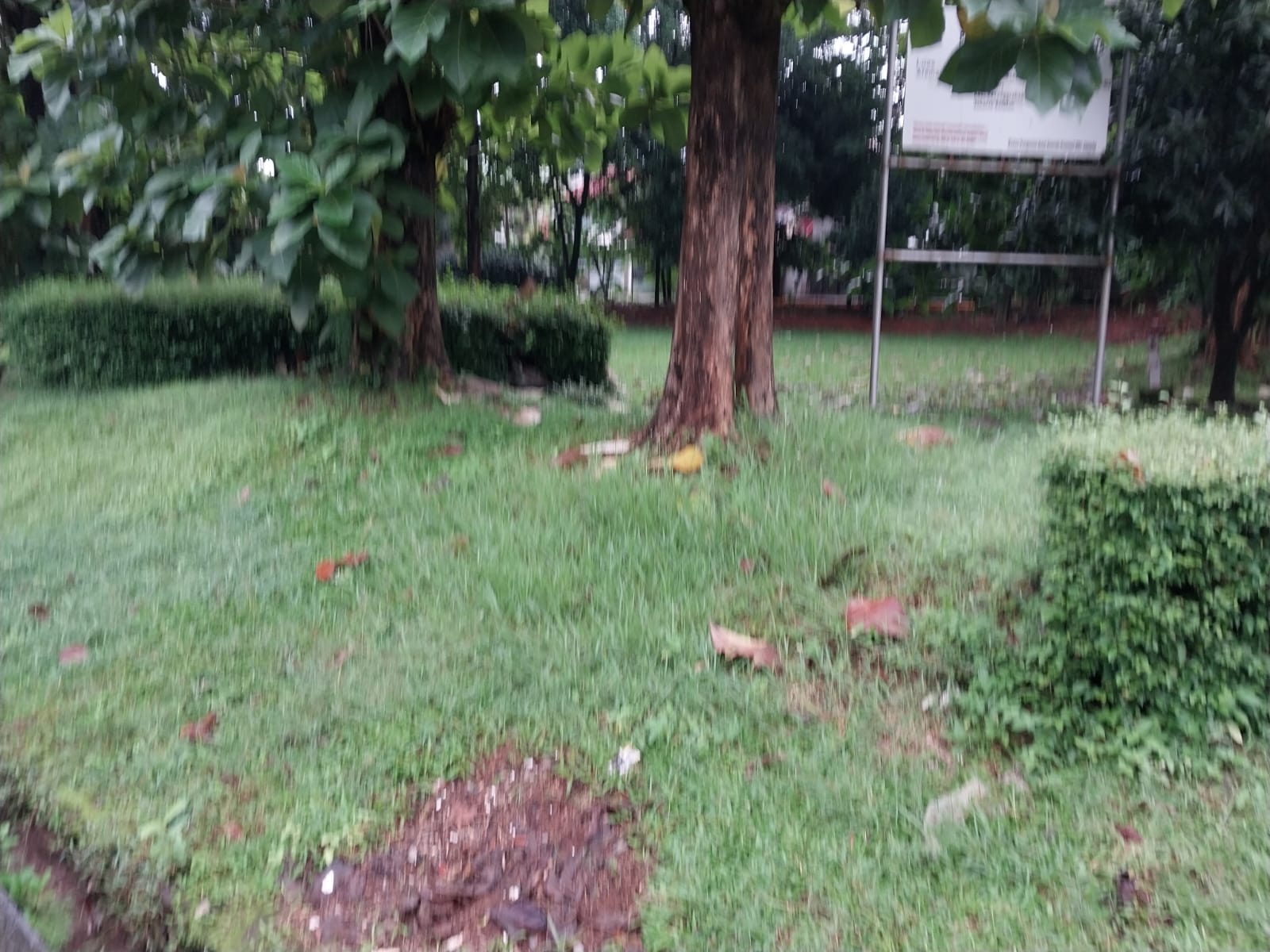 Rumah Dijual di Bintaro Sektor 2, Lokasi Tenang, Dekat Taman