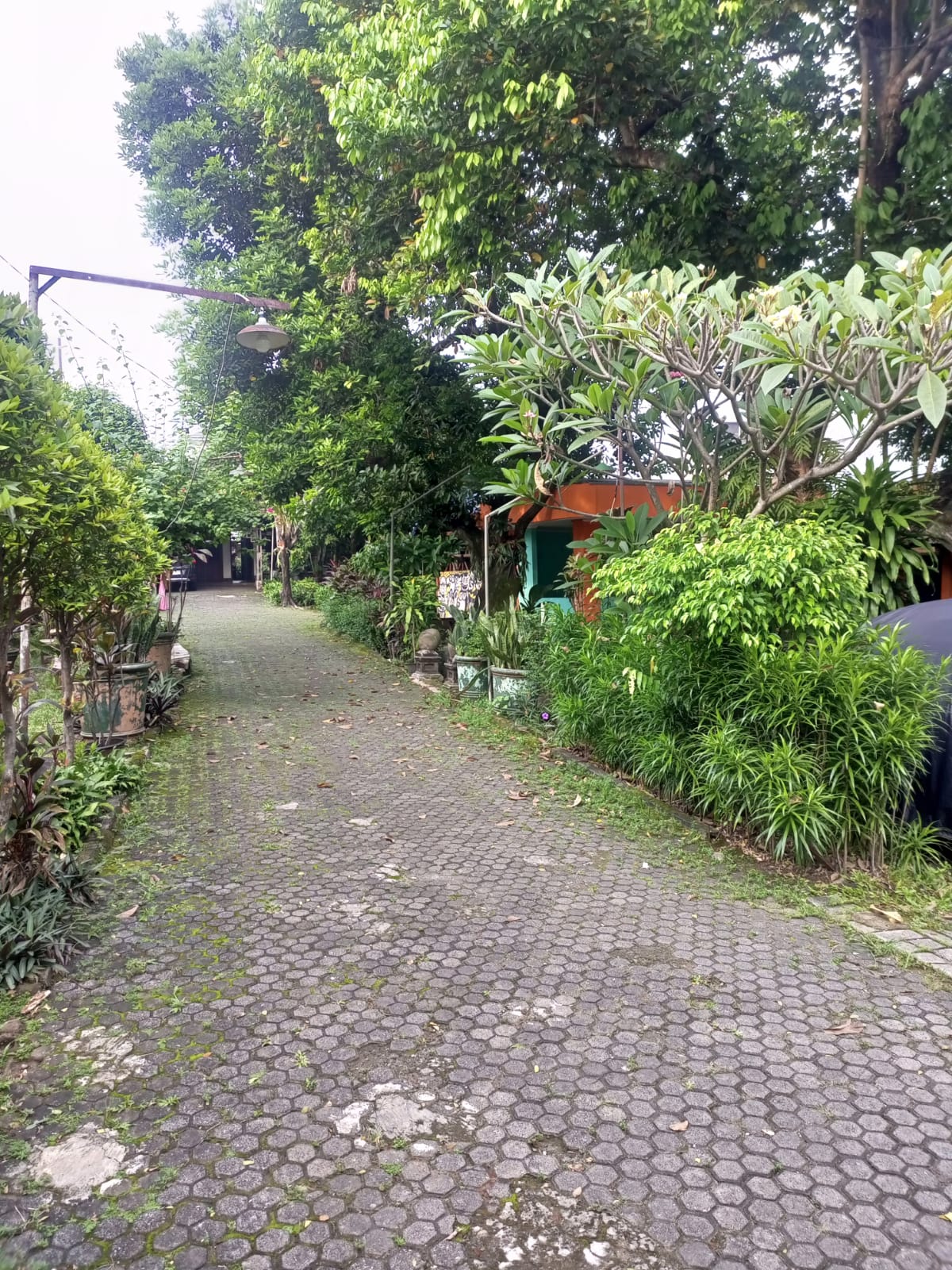 Rumah Dengan Halaman Luas di Lebak Bulus, Ada Kolam Ikan, Depan Bumi Karang Indah