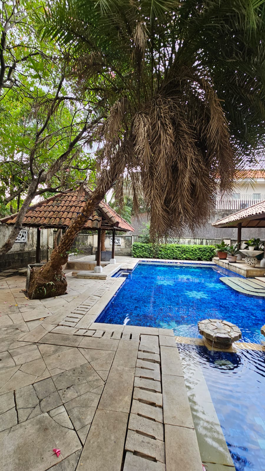 Jual Rumah Mewah 2 Lantai di Pondok Indah Halaman Luas Bisa Klinik Kantor Resto