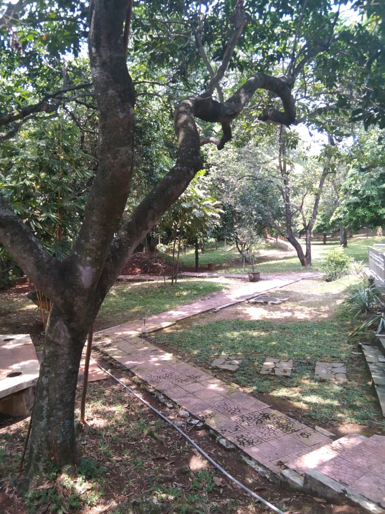 Ada 2 Bangunan, Bangunan Utama dan Guesthouse, Tanah Luas