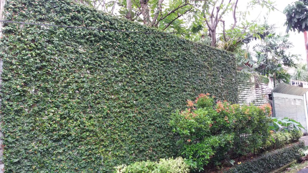 Ada 2 Bangunan. Bangunan Utama dan Paviliun, Ada Taman. KT Pembantuu Terpisah