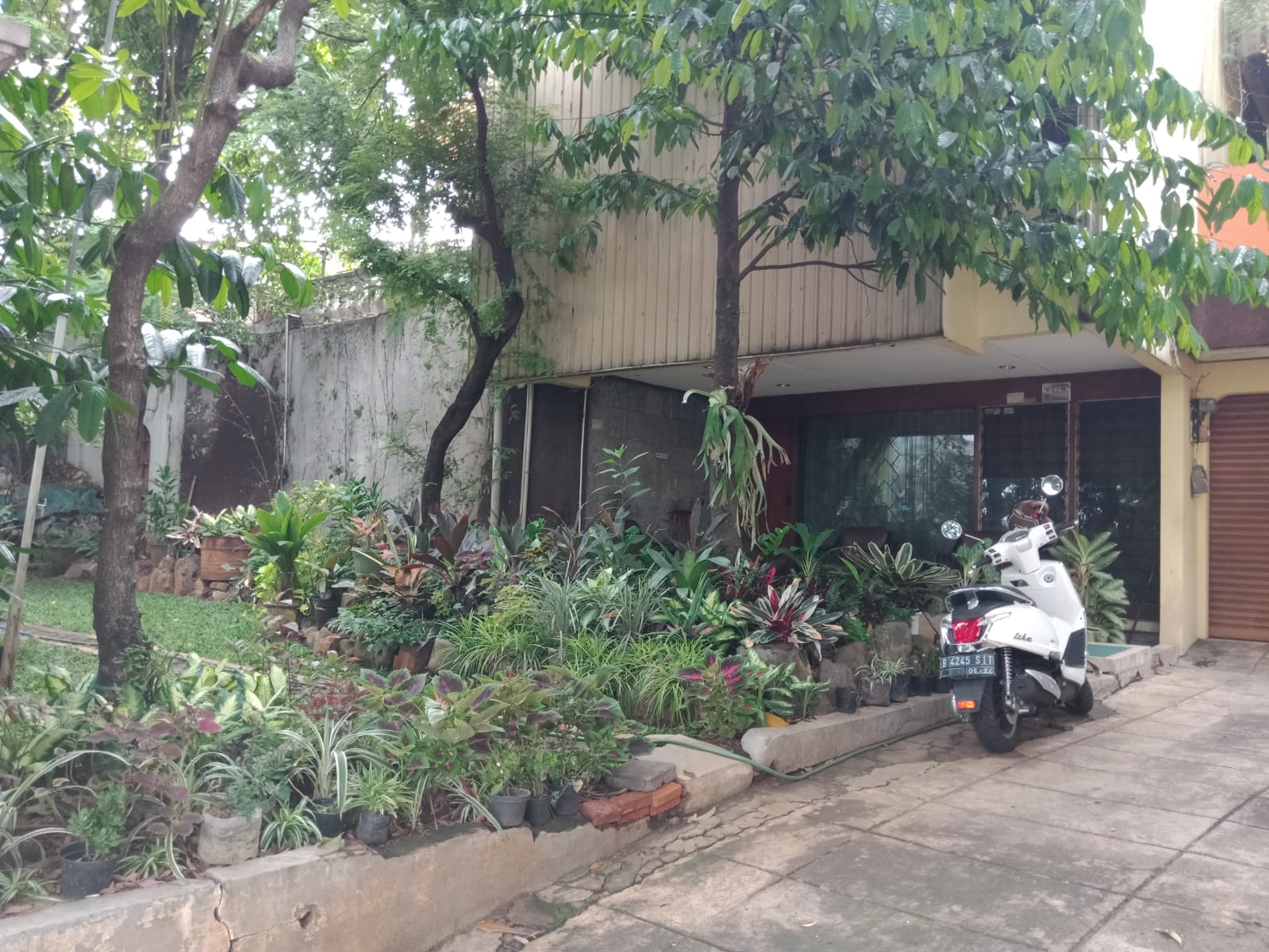 Rumah 2 Lantai di Buncit Raya, Halaman Luas