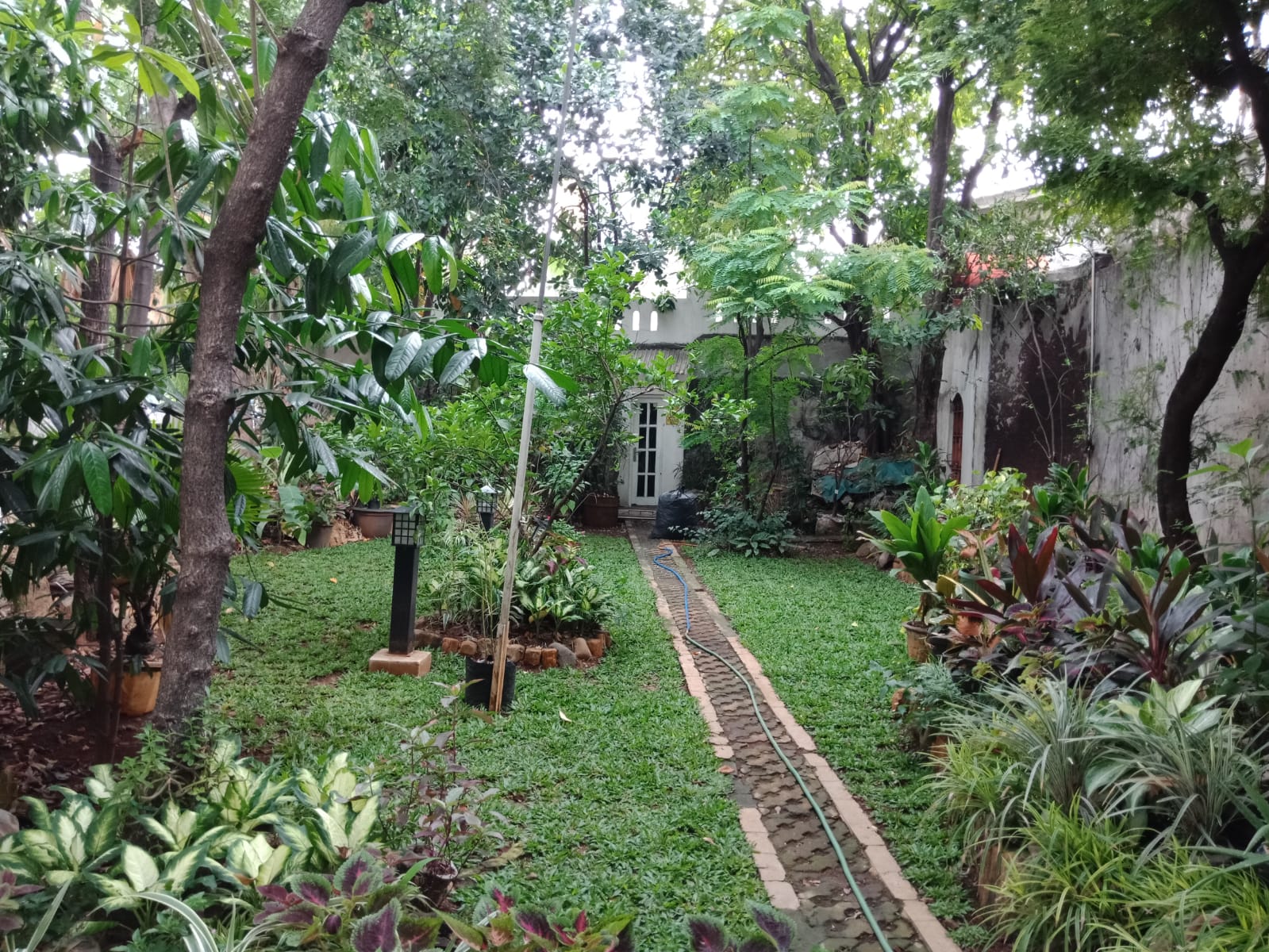 Rumah 2 Lantai di Buncit Raya, Halaman Luas