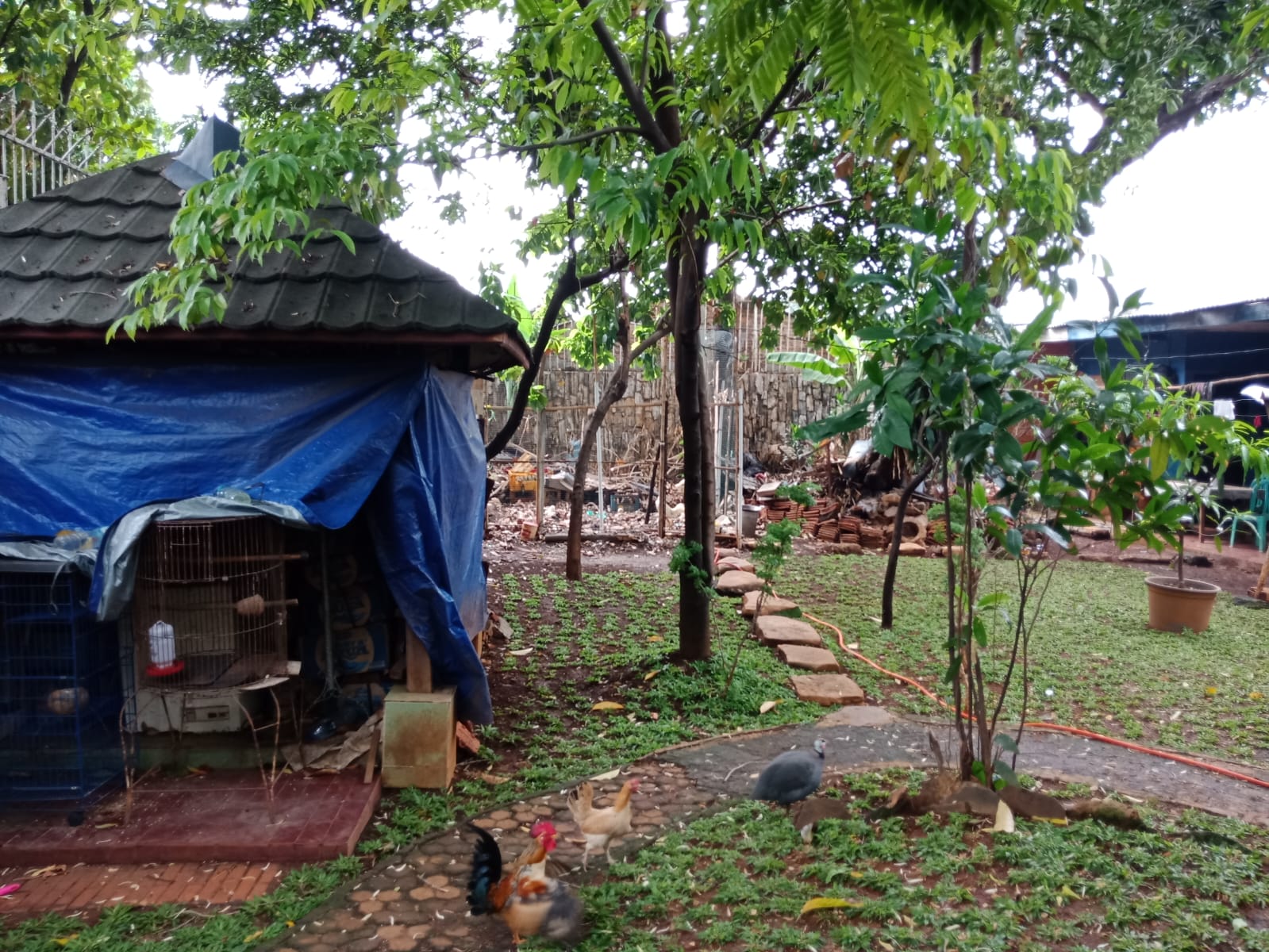 Rumah 2 Lantai di Buncit Raya, Halaman Luas