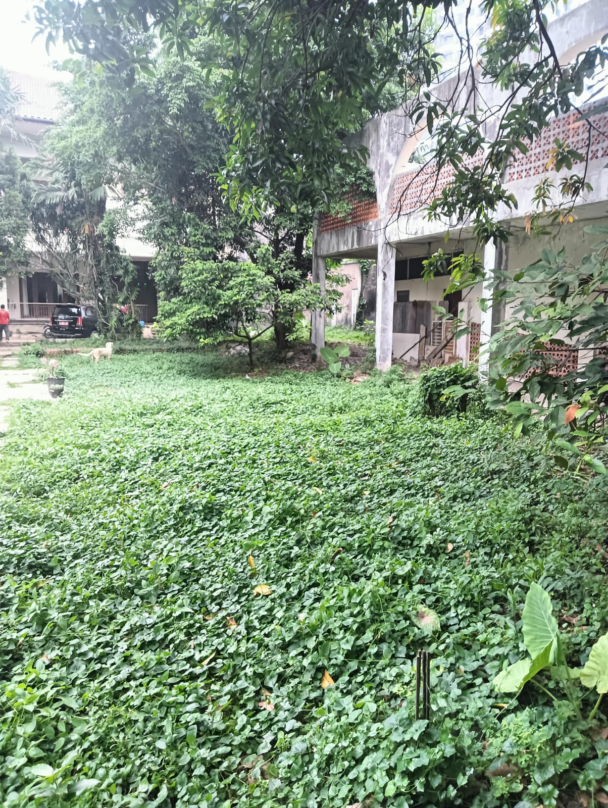 Tanah dan Bangunan Di Kuningan. Luas 6400 m2, Cocok Developer, Lokasi Strategis