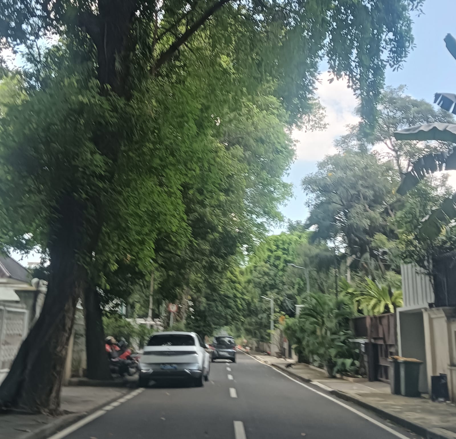 Golongan C, Ring 1, Lokasi Tenang, Rindang, Hitung Tanah