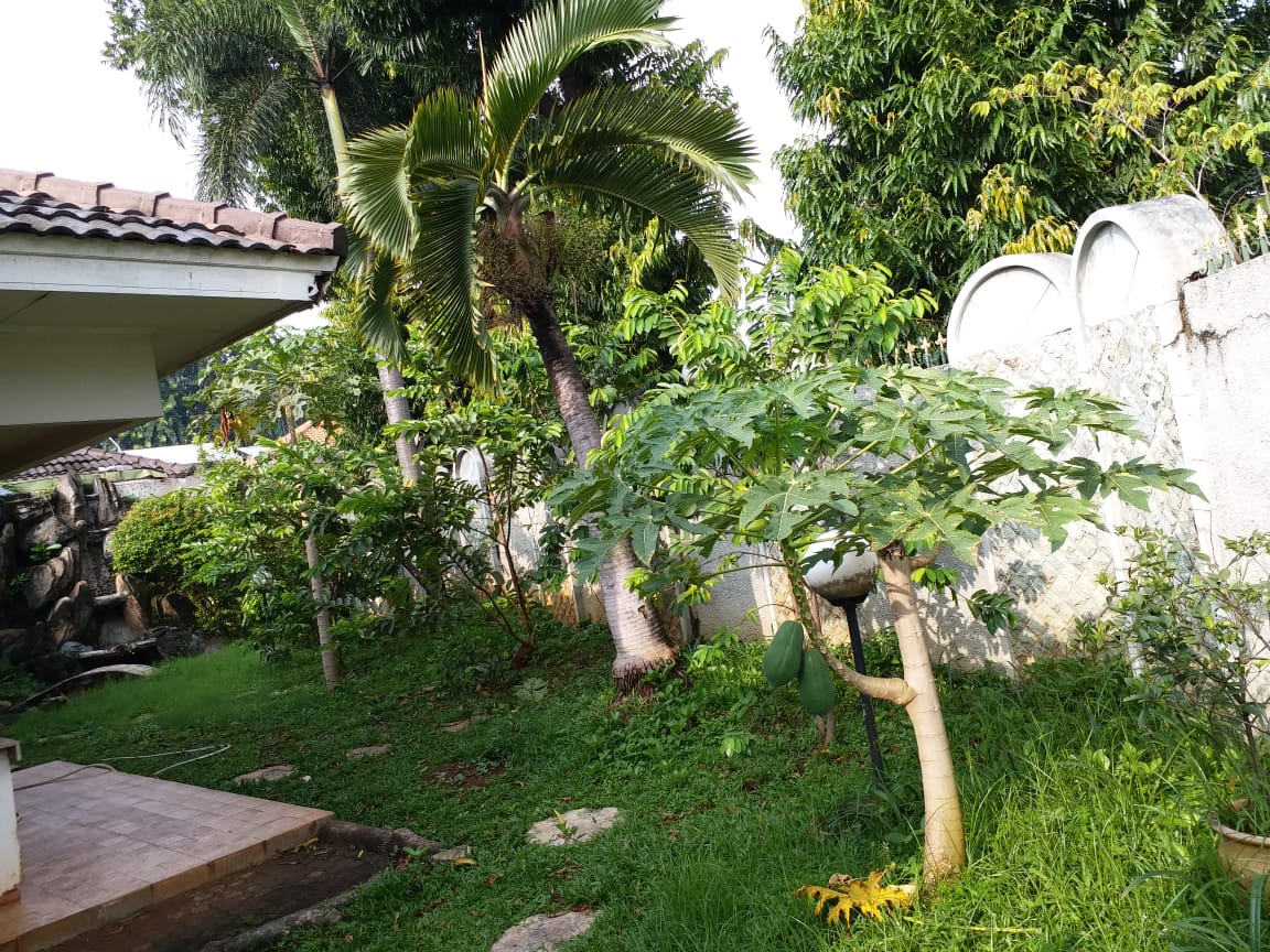 Rumah di Pejaten Barat, Dalam Komplek