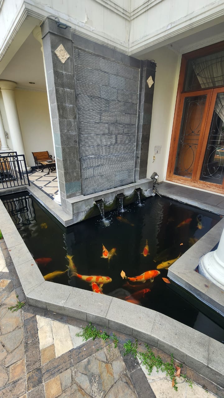 Rumah Full Furnish di Area Cipete, Ada Kolam Ikan Koi dan Lapangan Basket Mini