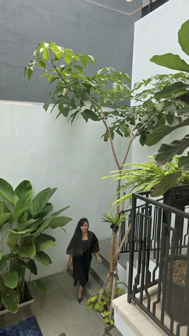 Rumah Brand New 3 Lantai, Dalam Cluster Exclusive, Area Radio Dalam, Ada Kolam Renang